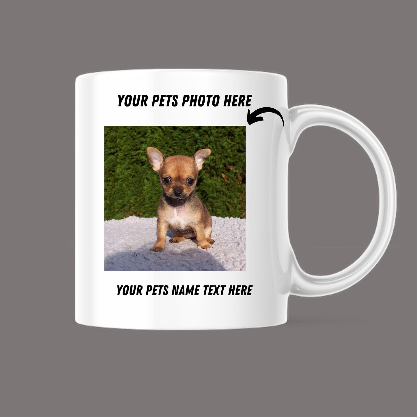 Personalized Photo Coffee Mug, KIDS Photo Mug, PETS Photo Mug, Cat Dog Personalized, GIFT Mug with Photo/Text