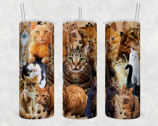 CATS Cat Kitties Stainless Steel Custom 20oz Tumbler W/ Lid & Straw Drinkware